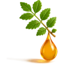 Boswellia Serrata