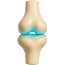Glucosamina (Sulfato)